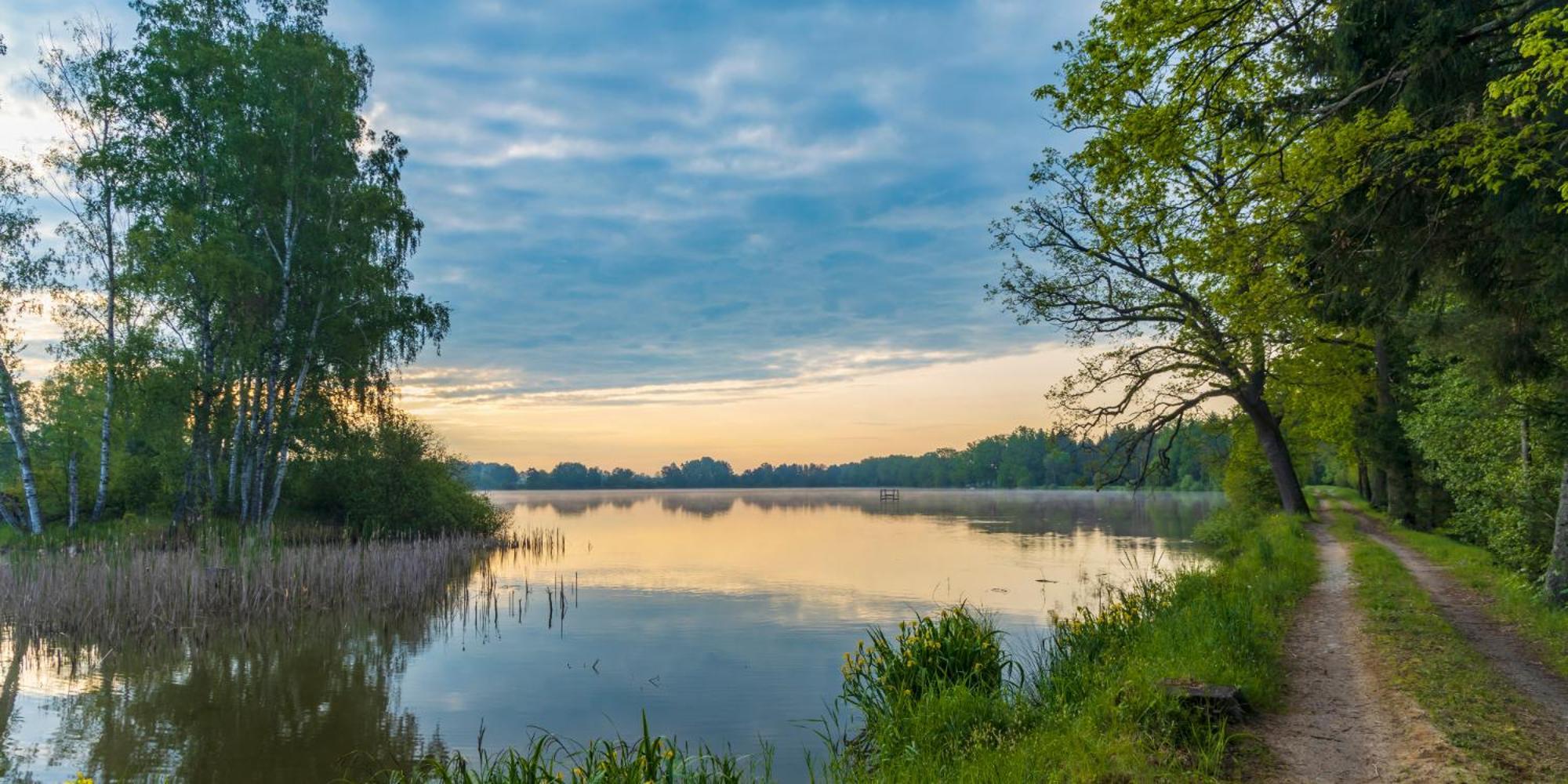 Penzion U Sykoru Trebon Bagian luar foto