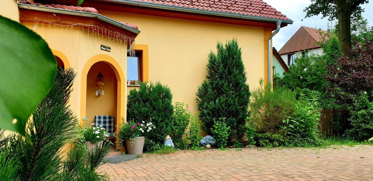 Penzion U Sykoru Trebon Bagian luar foto