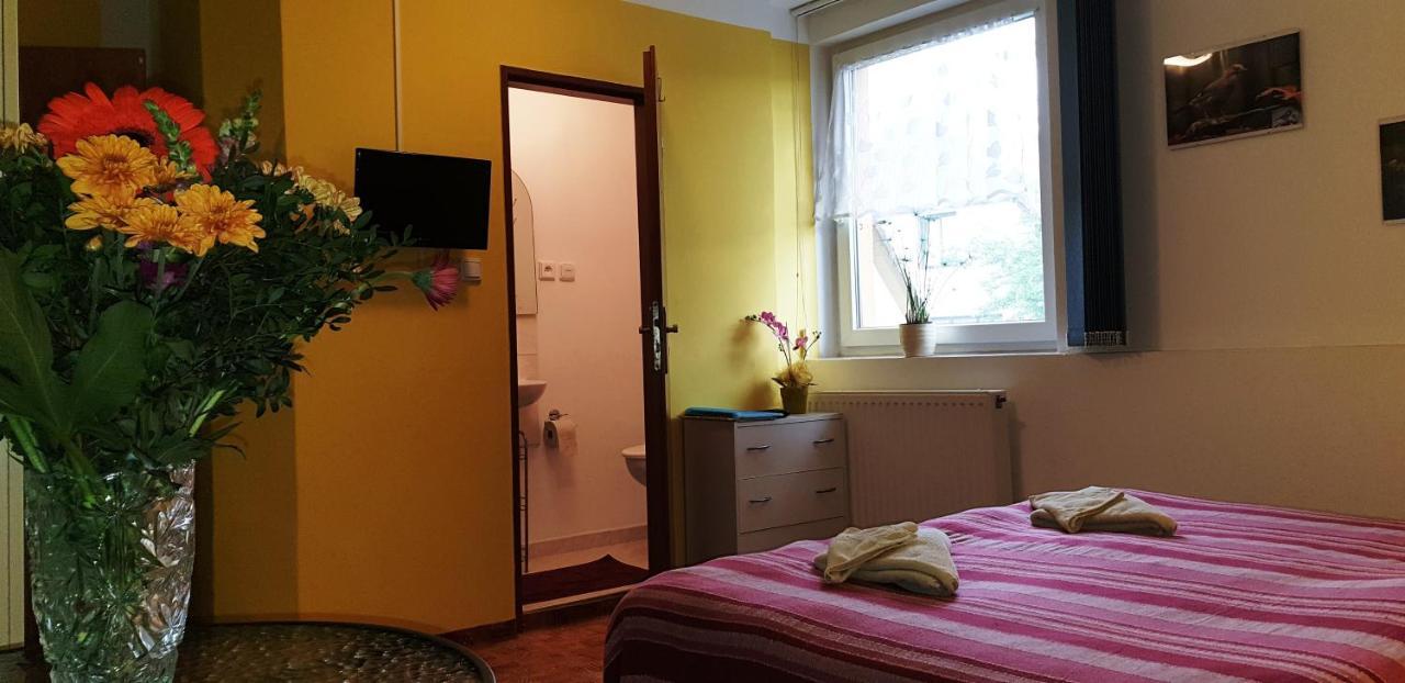Penzion U Sykoru Trebon Bagian luar foto